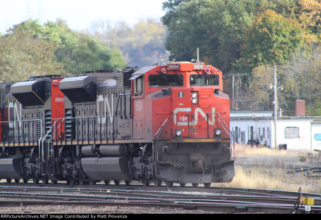 CN 8804